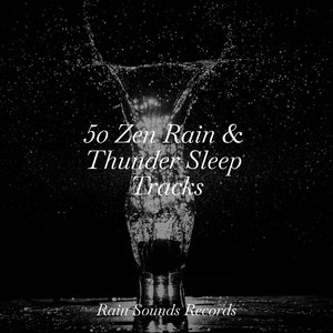 Concrete Lullaby in the Rain