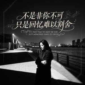 不是非你不可只是回忆难以割舍