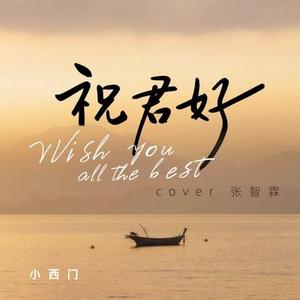 祝君好 (Cover 张智霖)
