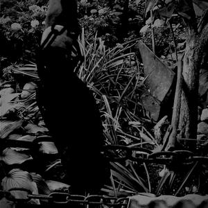 Possible Explanation