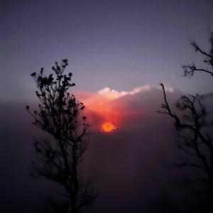 falling growth (feat. ripsmoke)