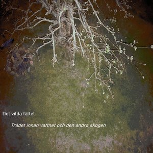 Ljuset faller annorlunda