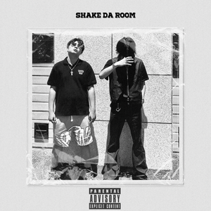 SHAKE DA ROOM