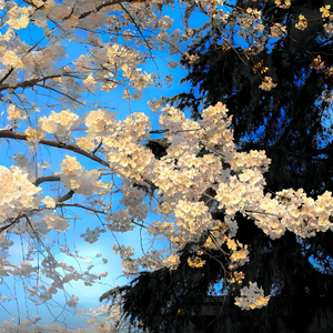 钢琴与吉他的时光