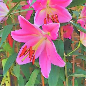 Stone Over The Sea Sand