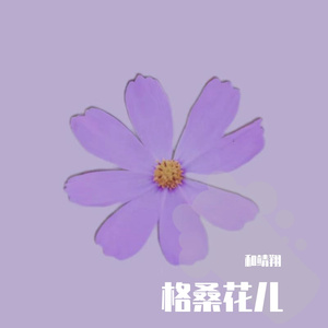 格桑花儿