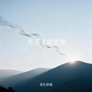 来不及的遗憾