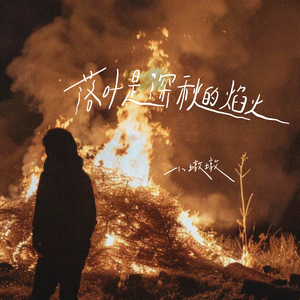 落叶是深秋的焰火