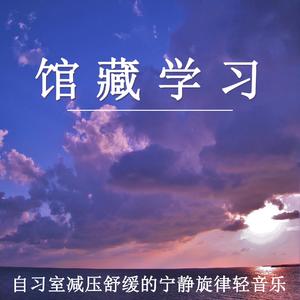 思绪轻扬：学习随想曲