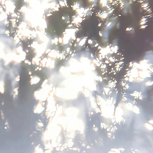 耳鸣_(prod.uguwap x ely)