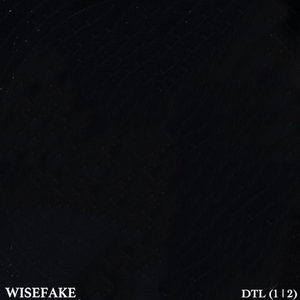 DTL - 1: SandWave (Original Mix)