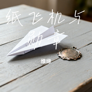 纸飞机与勋章