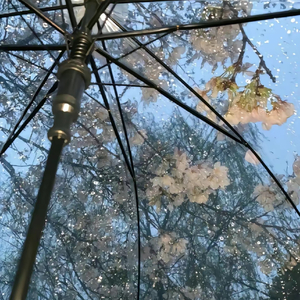 郑润泽-你 ZRZ（我叫苏志豪 remix）