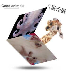 英雄书 （Instrument）