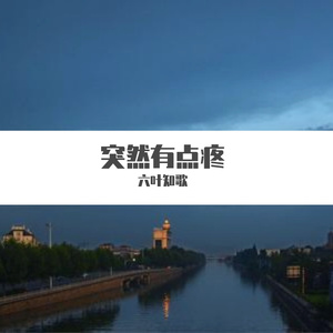 我独饮晚风作酒