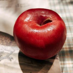 还要几夜才能停止想你