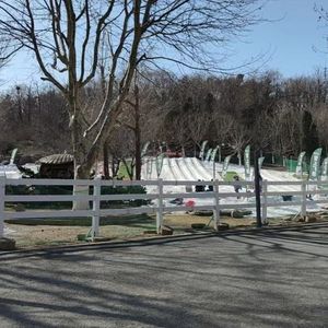 独自飞翔的自我