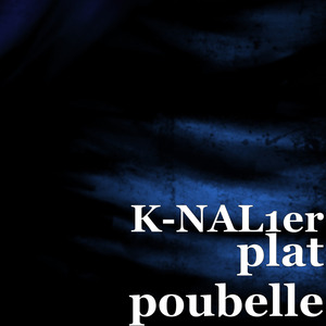 plat poubelle