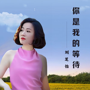 你是我的等待