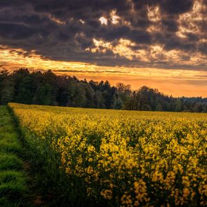 省略号第六点后的世界