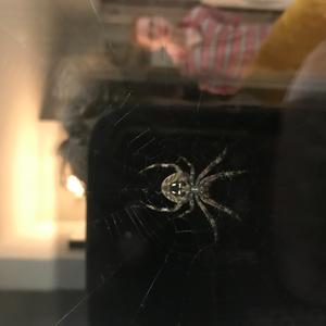 My, for the Benefit of I, Truth