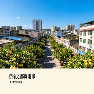 柠檬之都资阳市