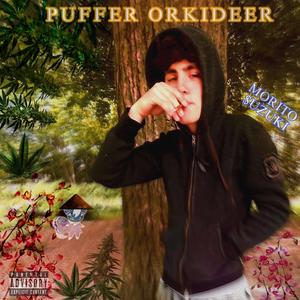 Vores fulde potentiale (feat. Willismog23)