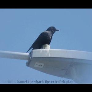 Wander Through Nothing