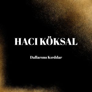 Dallarımı Kırdılar