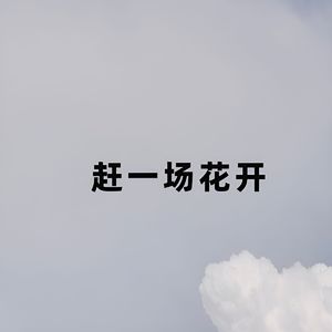 赶一场花开