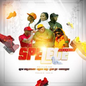 Sepelete (feat. New collection, Leon Lee, Black Cat, Tsekeleke 012, Anuza sa & Mphoza)