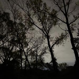 All By Myself (feat. Bando)