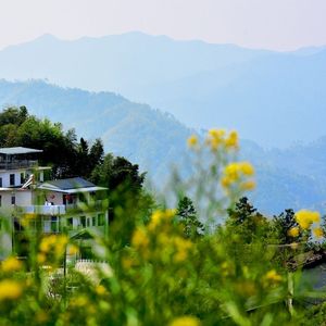 暖冬 伴奏