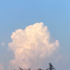 想你的第101夜(prod by buci buci)