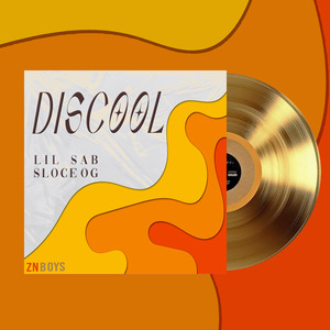 DISCOOL