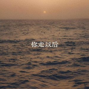 你走以后