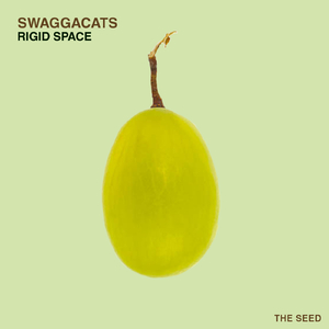 Rigid Space (Ross Mt. Park Remix)