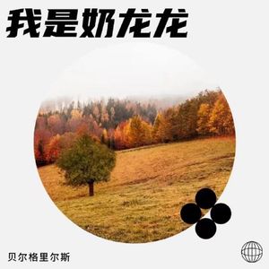 我是奶龙龙（女版）