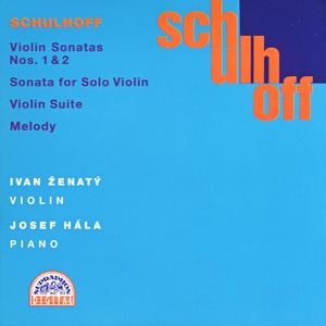 Sonata for Solo Violin: IV. Finale. Allegro risoluto