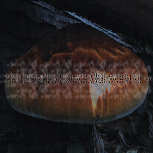 some days felt like home