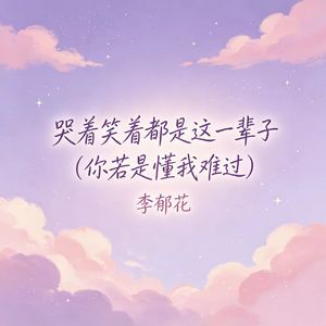 哭着笑着都是这一辈子（你若是懂我难过）