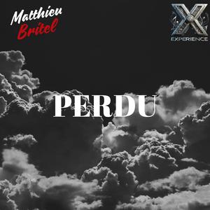 Perdu