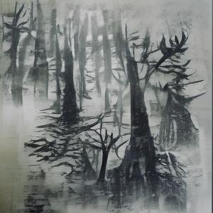Misty Forest
