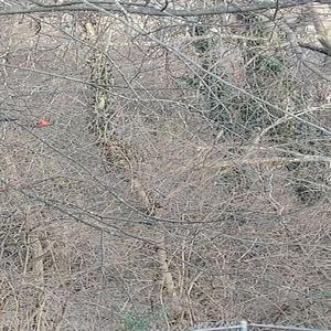 It's Not A Sin To Care