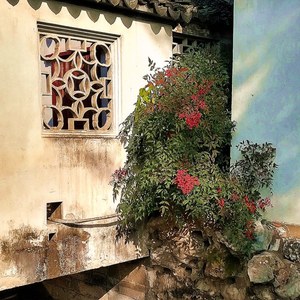 『free』下雨的午后