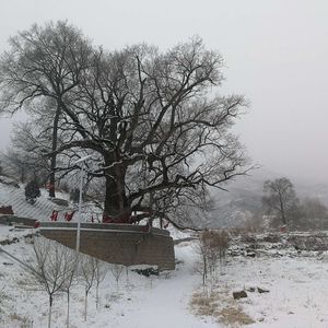 寸土不让_黑蝴蝶