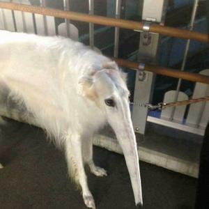 didnt i do it for you