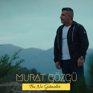 Bu Ne Gitmeler