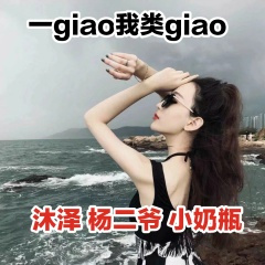 一giao我类giao (DJ版)
