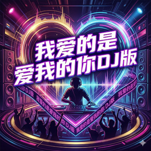 我爱的是爱我的你(DJ版)